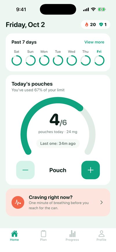 Pouches raw screenshot