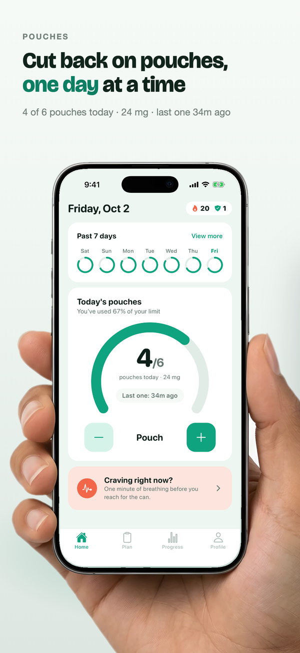 App Store slide — Cut back on pouches, one day at a time